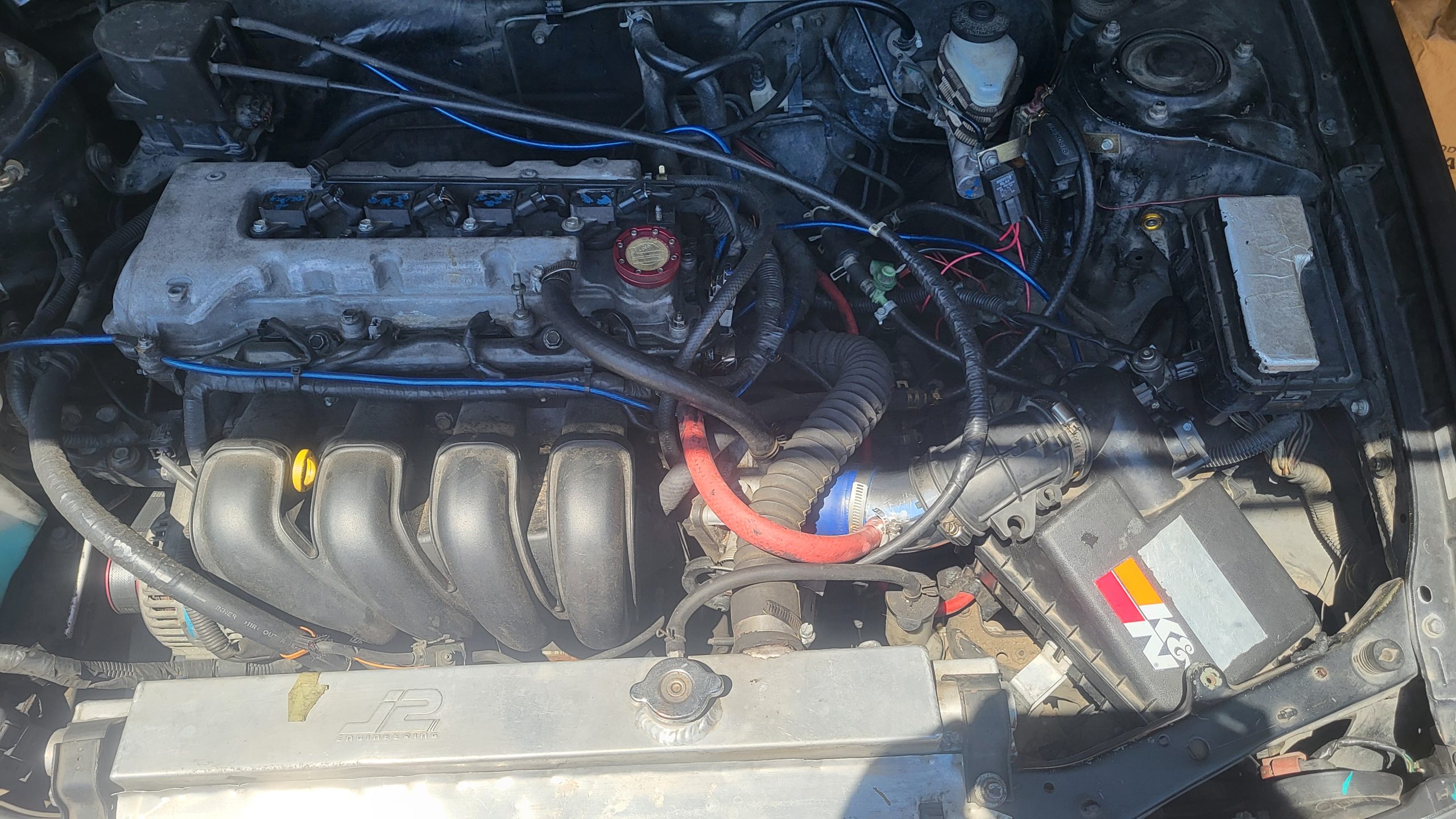Corolla High Positive LTFT